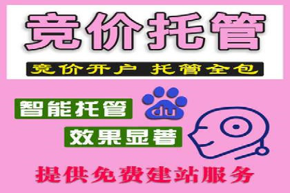 企业SEM运营托管成功案例分享
